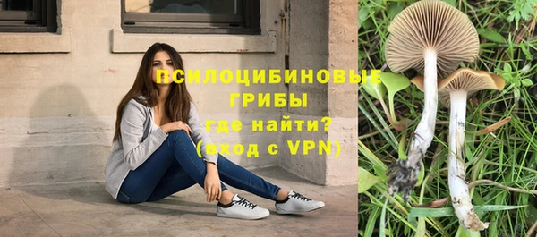 каннабис Абинск