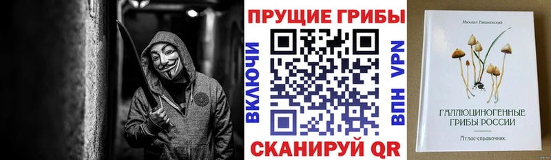 Галлюциногенные грибы MAGIC MUSHROOMS  Краснозаводск 