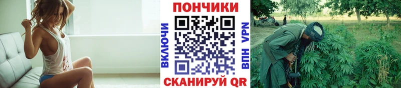 Конопля Bruce Banner  Краснозаводск 